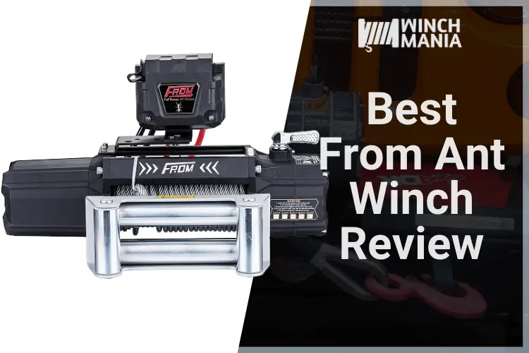 From Ant Winch Review